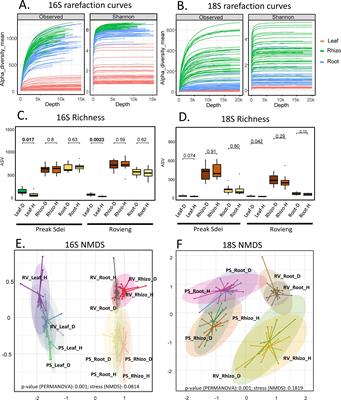 Comparison of plant microbiota in diseased and healthy rice reveals methylobacteria as health signatures with biocontrol capabilities